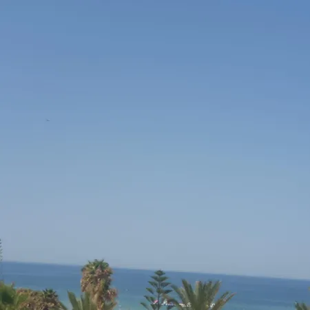 Bogavante Costa Ballena